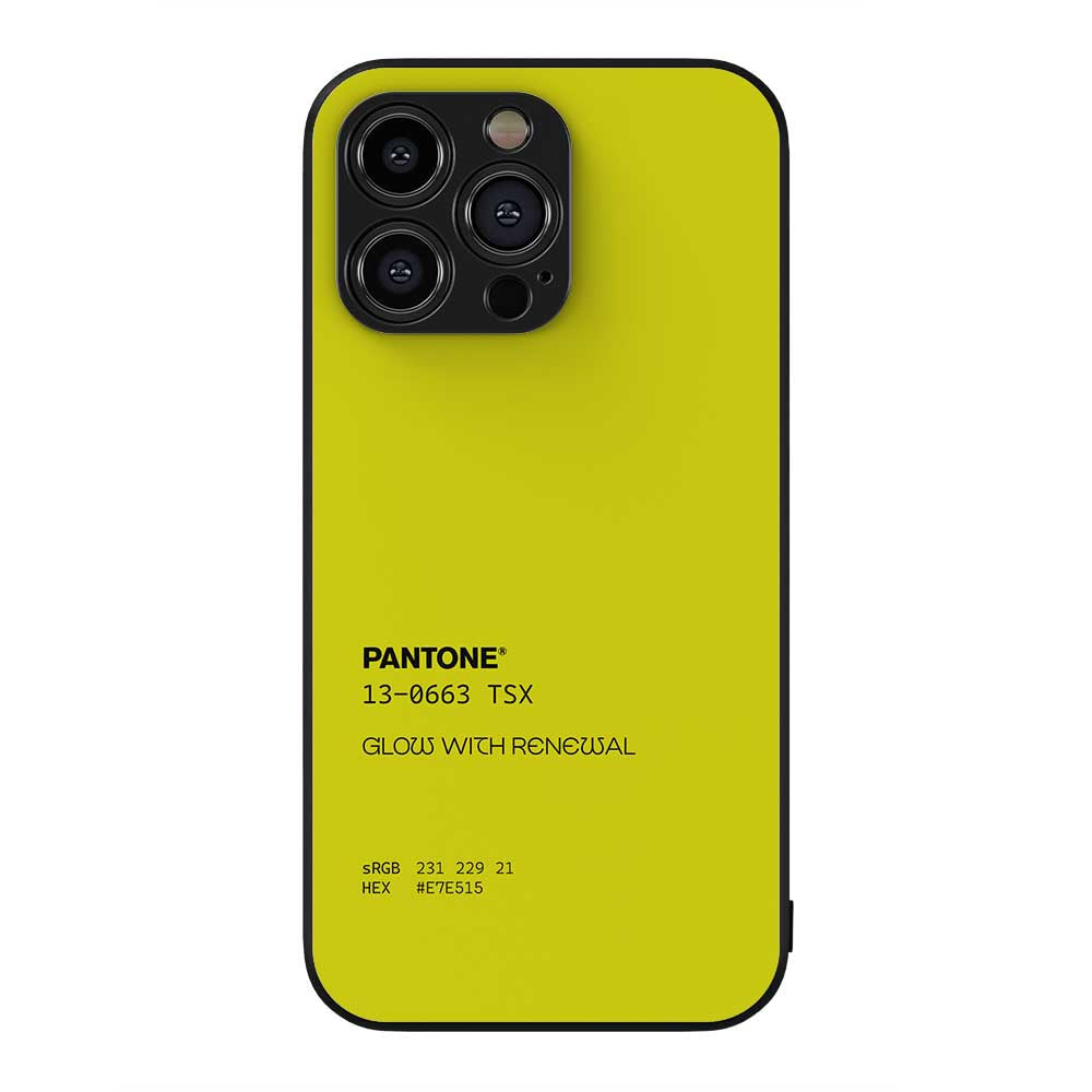 PANTONE 1 Hybrid Metal Case - DFENS