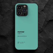 PANTONE 5 Hybrid Metal Case